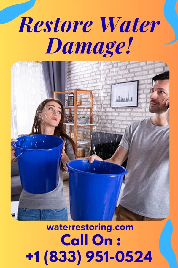 water restoration Sentinel Damage Recovery Pros Coldwater
