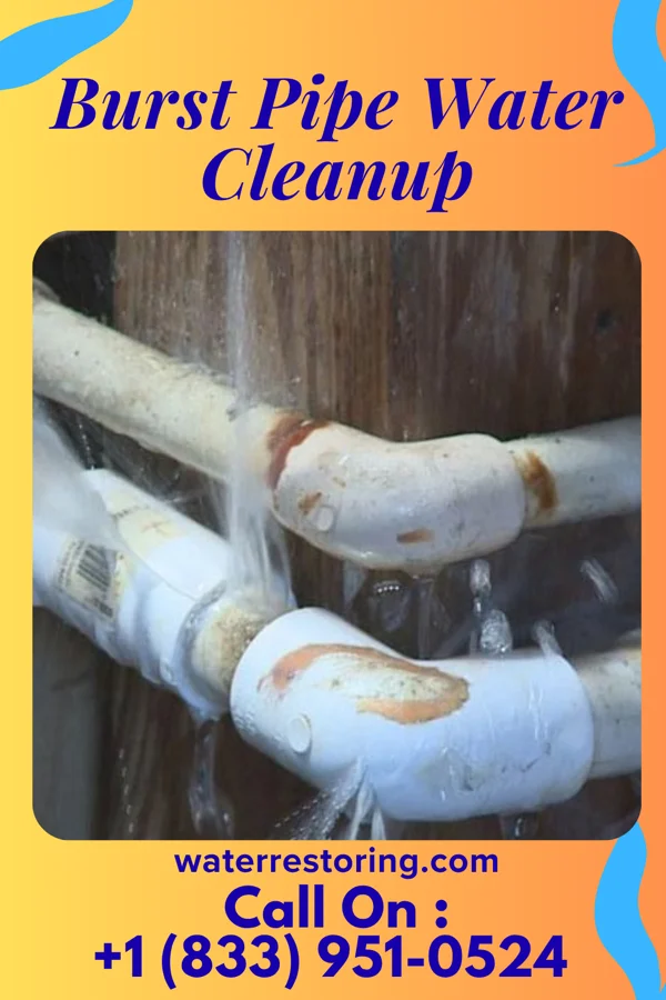 Burst Pipe Water Cleanup in Coldwater, MI