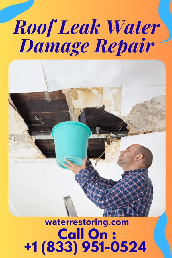 Roof Leak Water Damage Repair in Coldwater, MI