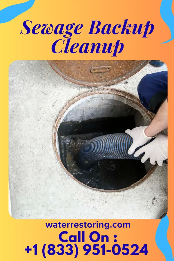 Sewage Backup Cleanup in Coldwater, MI