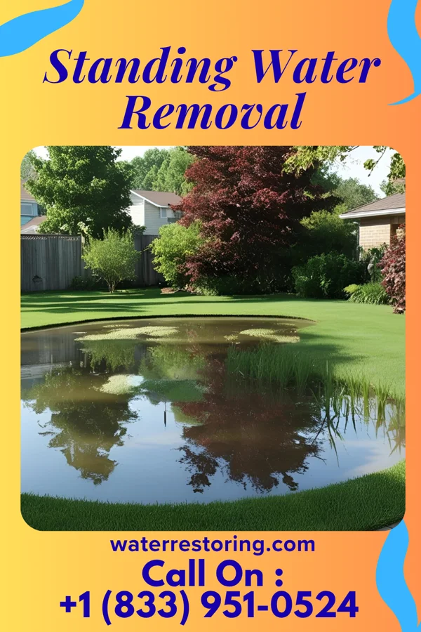 Standing Water Removal in Coldwater, MI